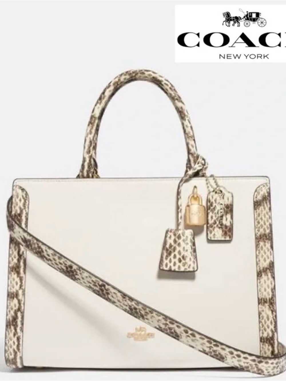 Coach Zoe Leather Satchel in Chalk with Snake-Print Trim